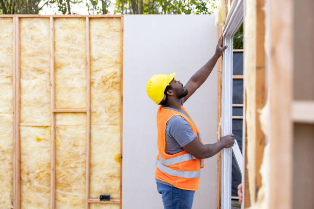 Best Insulation Inspection Services  in De Soto, KS