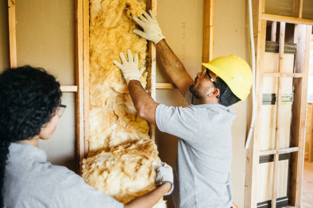 Best Insulation for Commercial Buildings  in De Soto, KS