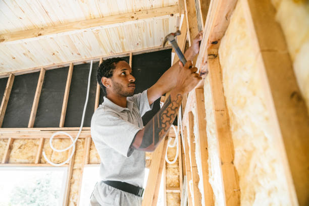 Best Attic Insulation Installation  in De Soto, KS