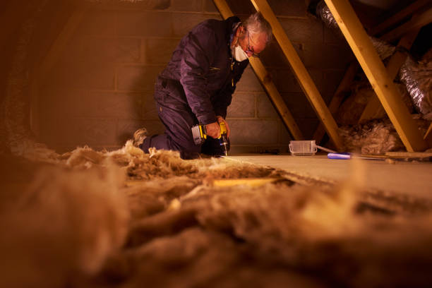 Best Crawl Space Insulation  in De Soto, KS
